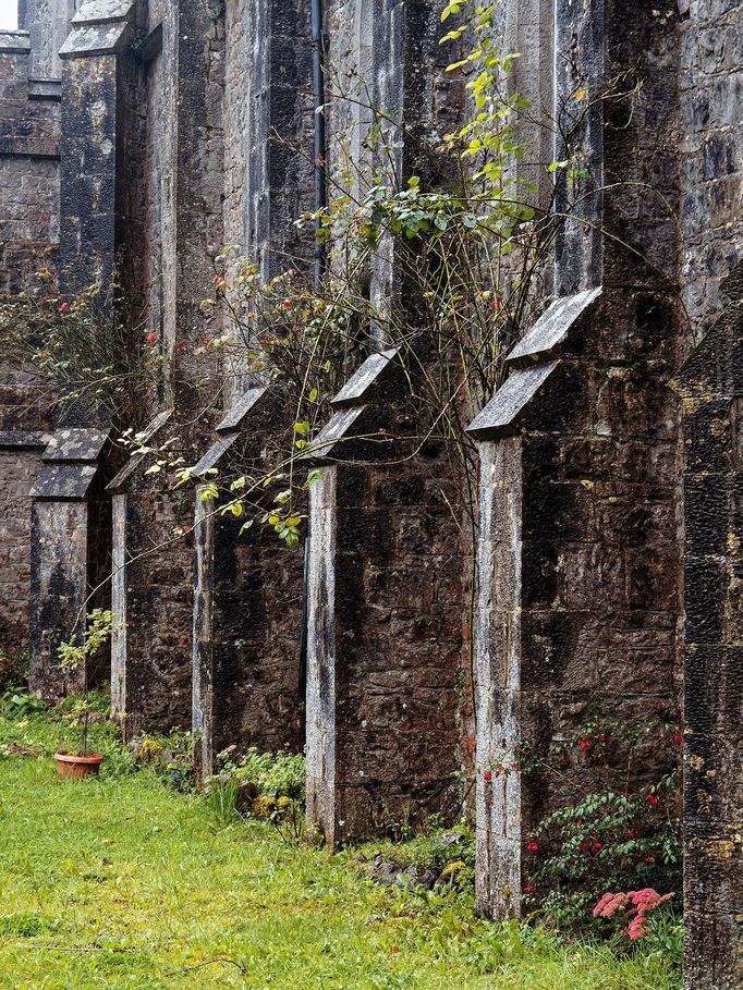 Strašidelný hrad Charleville a tajemný druidský les poblíž irského Tullamore