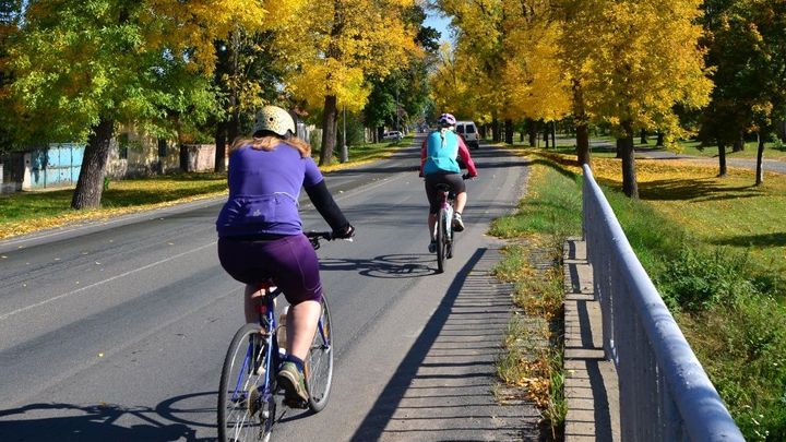 V pondělí teploty v Česku dosáhnou až 20 stupňů, přes týden bude převážně oblačno; Zdroj foto: Viktor Vondra