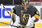 NHL 2017/18: Vegas Golden Knights
