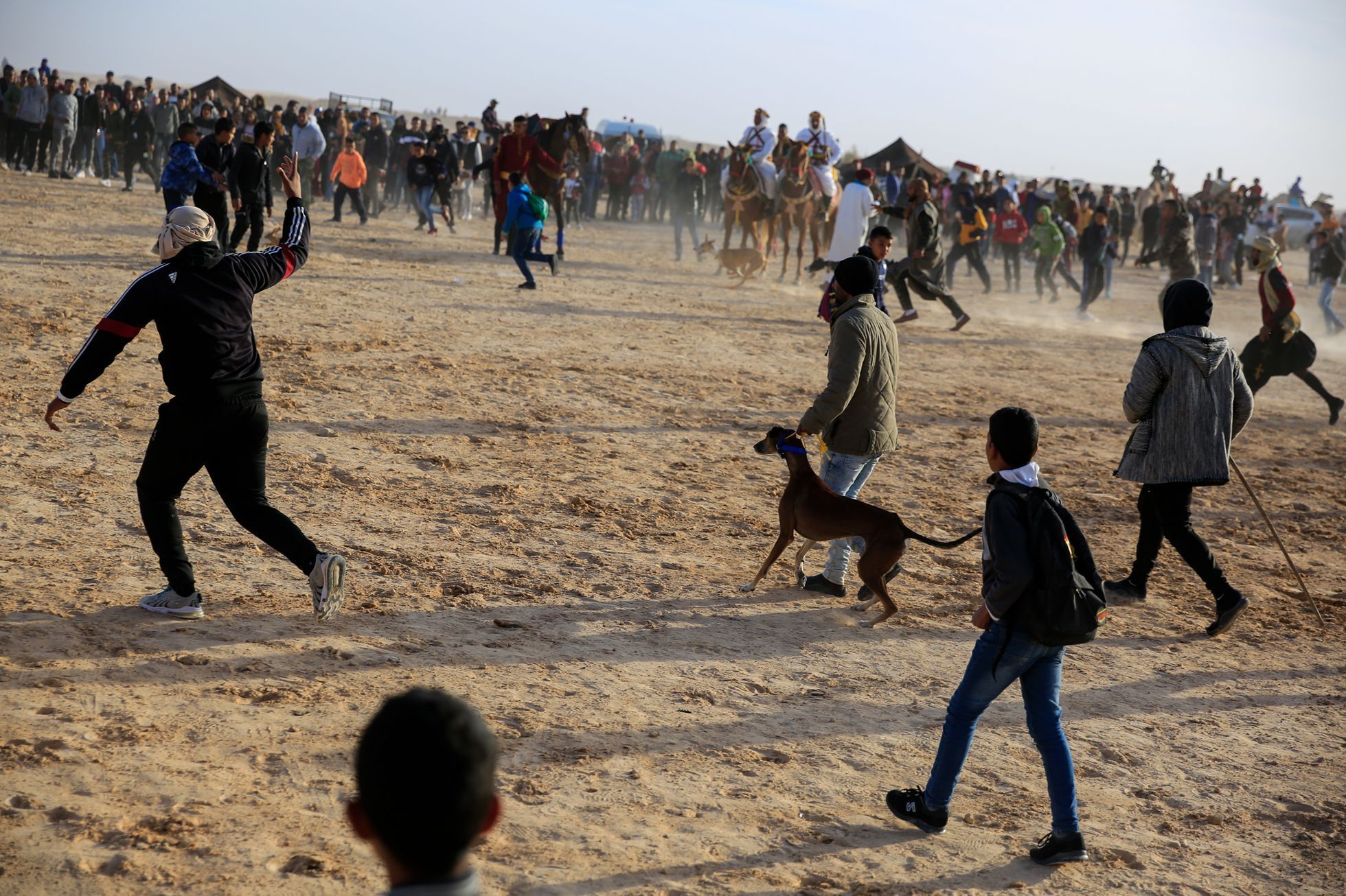Lucie Steinzová: Sahara festival