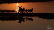 Povoz při západu slunce, Mandalay, Myanmar