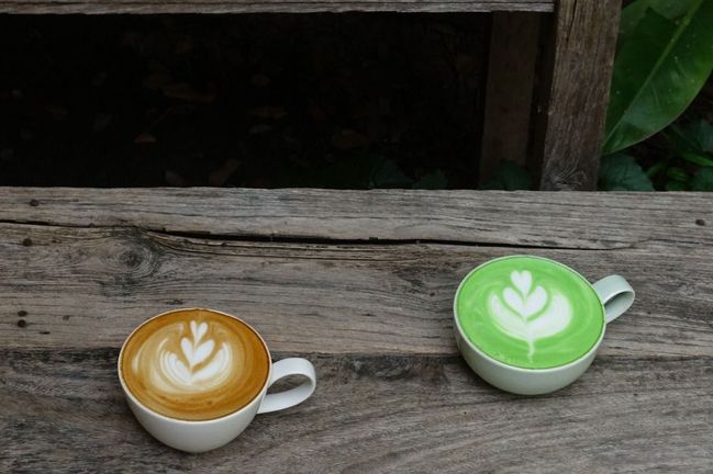 Matcha versus káva