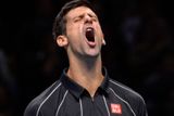 Začátek i konec roku byl jeho. Novak Djokovič obhájil triumf na Australian Open a vyhříval se na tenisovém trůnu. Sezonu zase zakončil vítězstvím na Turnaji mistrů.