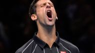 Začátek i konec roku byl jeho. Novak Djokovič obhájil triumf na Australian Open a vyhříval se na tenisovém trůnu. Sezonu zase zakončil vítězstvím na Turnaji mistrů.