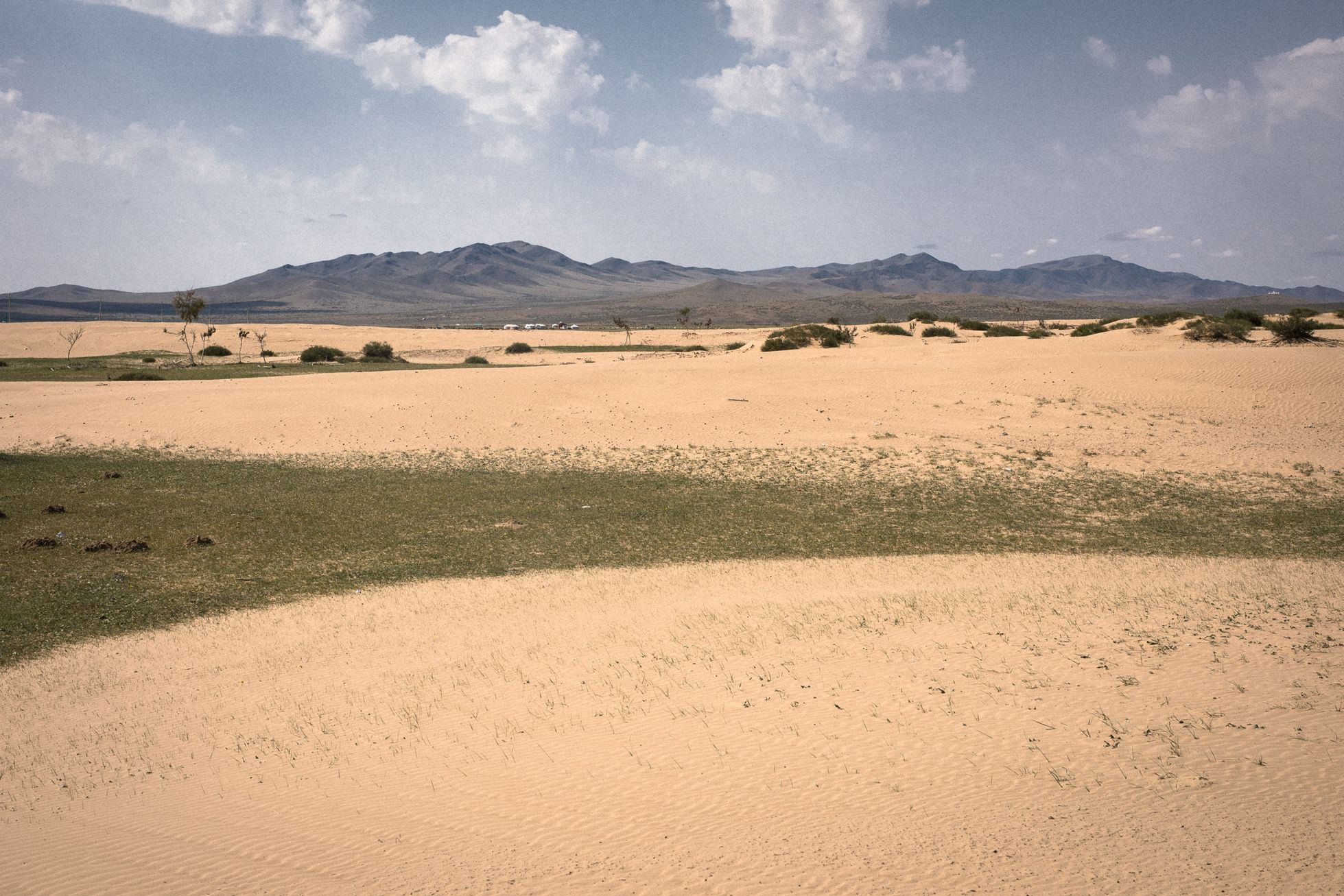 Mongolsko, mongolové, pastevci, pastevec, jurta, kůň, koně, poušť Gobi