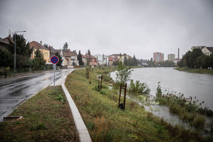 Hladina řeky Dyje v Břeclavi.