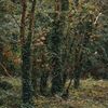 Strašidelný hrad Charleville a tajemný druidský les poblíž irského Tullamore