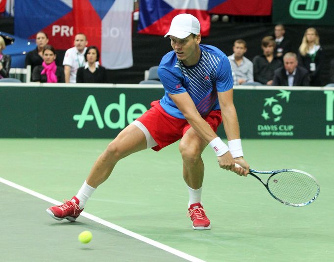 Semifinále Davis Cupu - Česko vs. Argentina