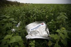 Tribunál pro havárii letu MH17 odmítáme, potvrdili Rusové
