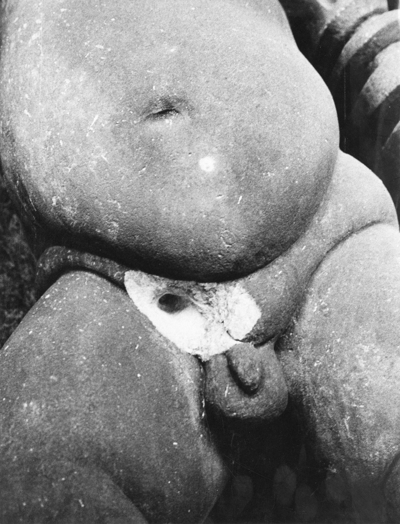 Jednorázové užití / Fotogalerie / Uplynulo 130 let od otevření Národního muzea v Praze