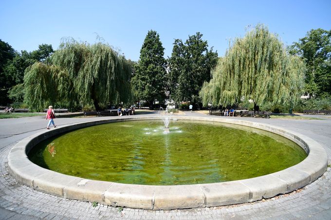 Karlovo náměstí, park, zeleň, fontána
