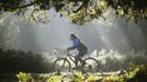 A woman cycles in the early morning autumn sunshine in Richmond Park, south west London October 14, 2012. REUTERS/Luke MacGregor (BRITAIN - Tags: ENVIRONMENT SPORT CYCLING TPX IMAGES OF THE DAY) Published: Říj. 14, 2012, 2:20 odp.