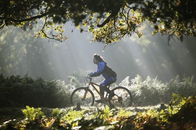 A woman cycles in the early morning autumn sunshine in Richmond Park, south west London October 14, 2012. REUTERS/Luke MacGregor (BRITAIN - Tags: ENVIRONMENT SPORT CYCLING TPX IMAGES OF THE DAY) Published: Říj. 14, 2012, 2:20 odp.