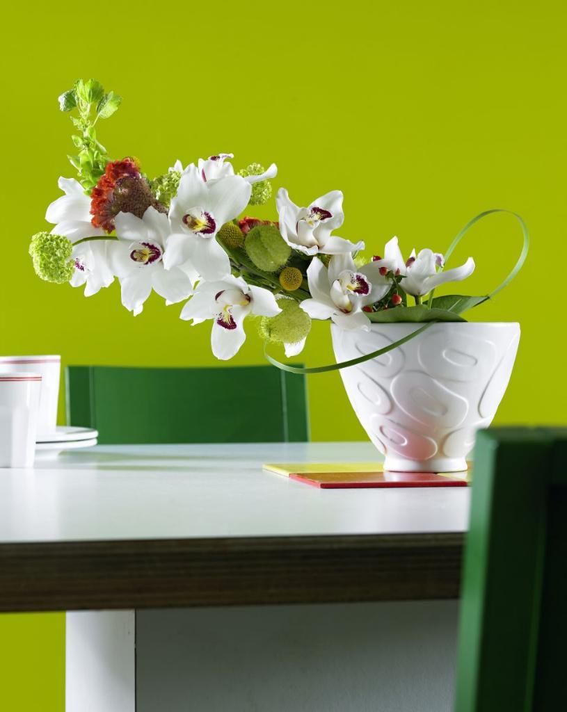 Orchidej je skvělým doplňkem moderního interiéru.