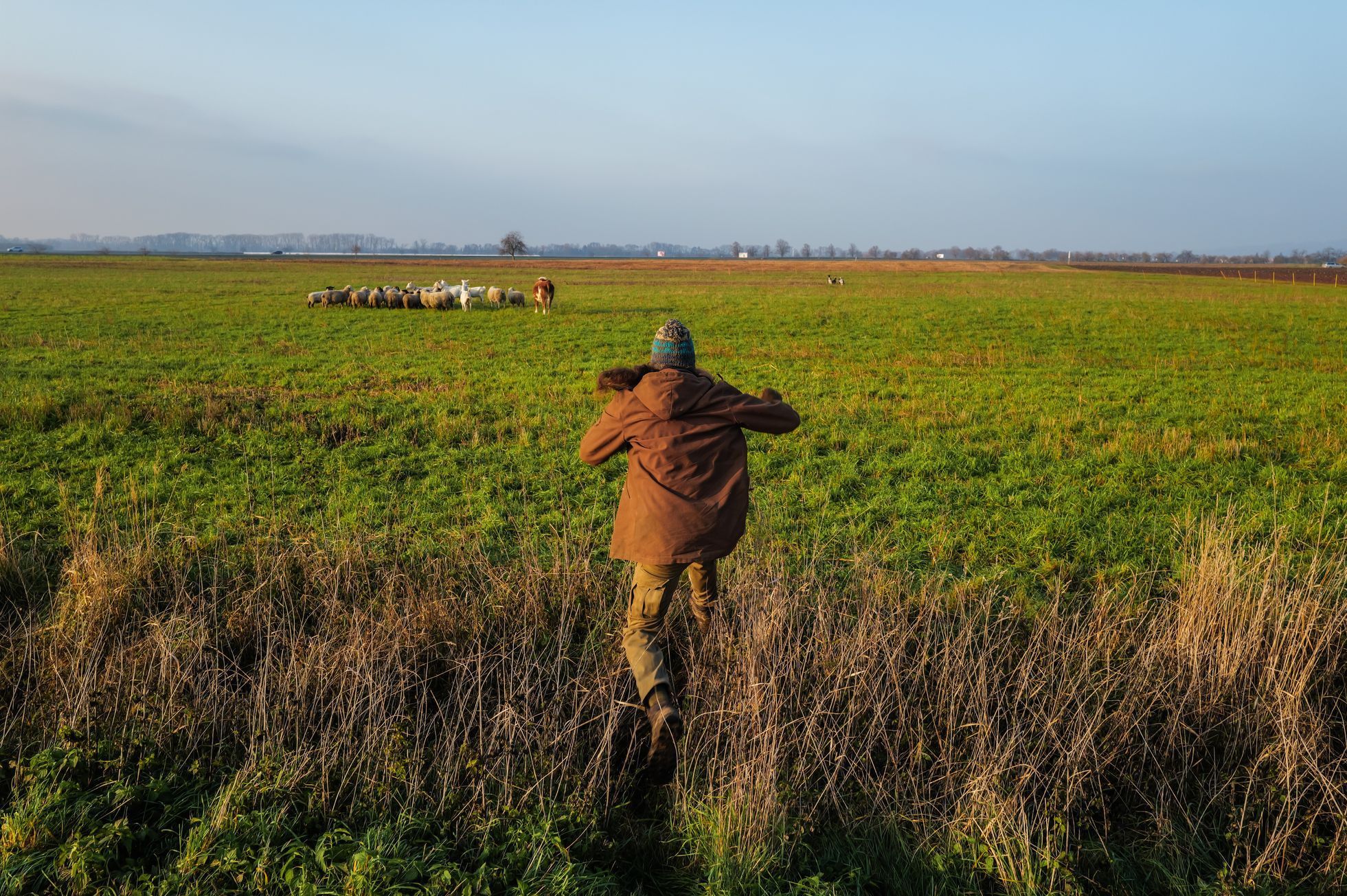 marek slovacek, mezi poli