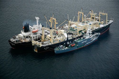 Velrybářská loď Nisshin Maru