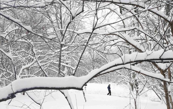 A man walks though snowy Central Park in New York, February 9, 2013. A blizzard pummelled the Northeastern United States, killing at least one person, leaving hundreds of thousands without power and disrupting thousands of flights, media and officials said. REUTERS/Carlo Allegri (UNITED STATES - Tags: ENVIRONMENT) Published: Úno. 9, 2013, 2:52 odp.