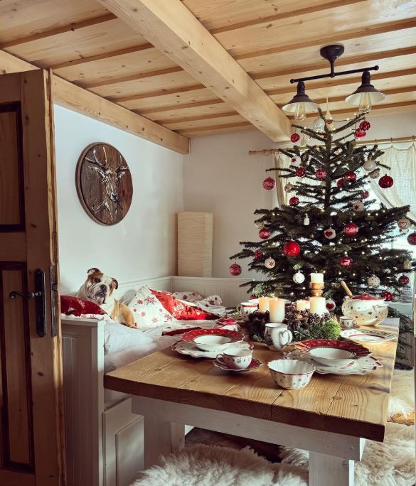 chalupa uprostřed lesa, les, chata, chalupa