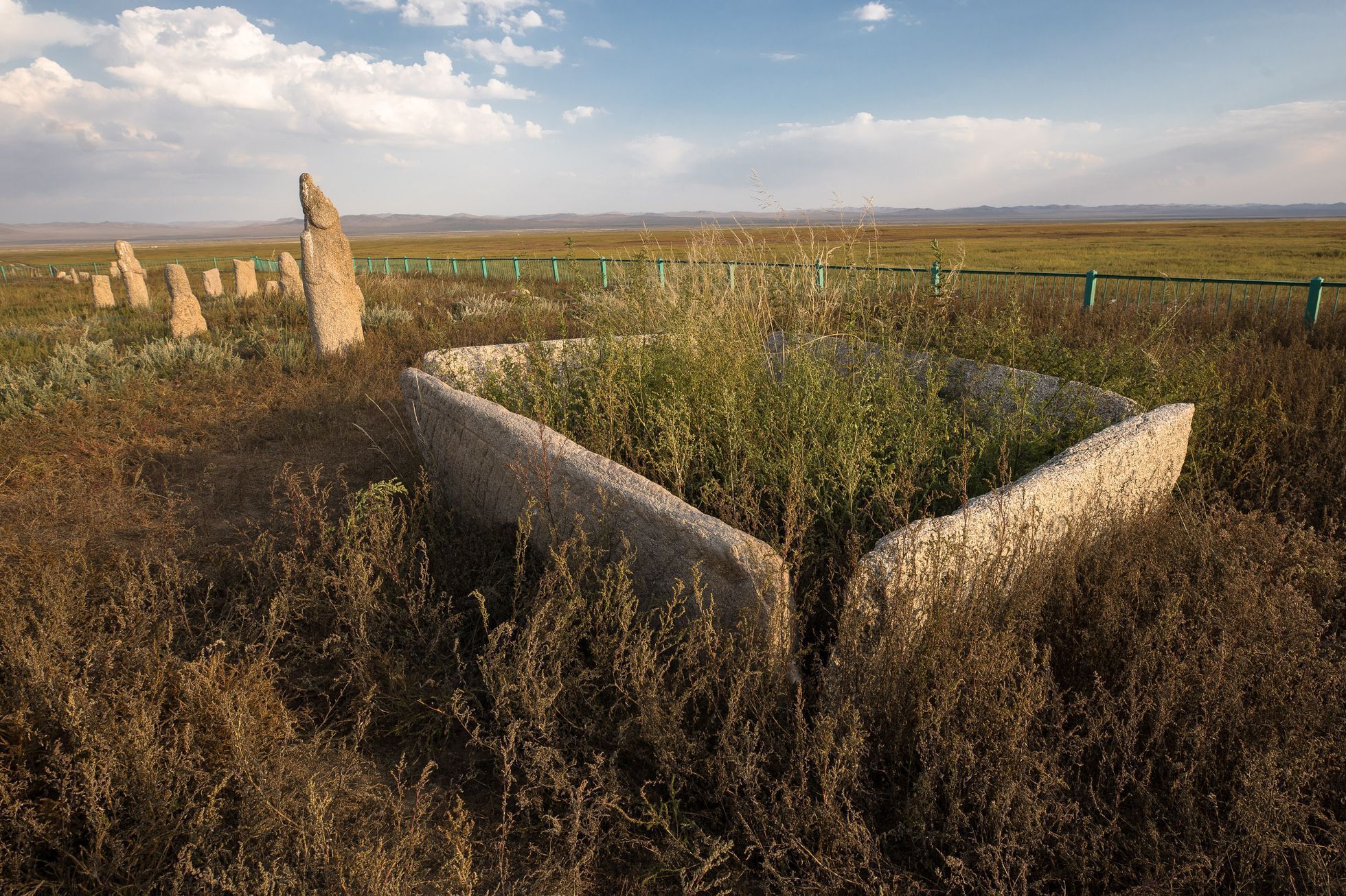 Mongolsko - kůň Převalského, Národní park Chustaj, koně, pláně, stepi