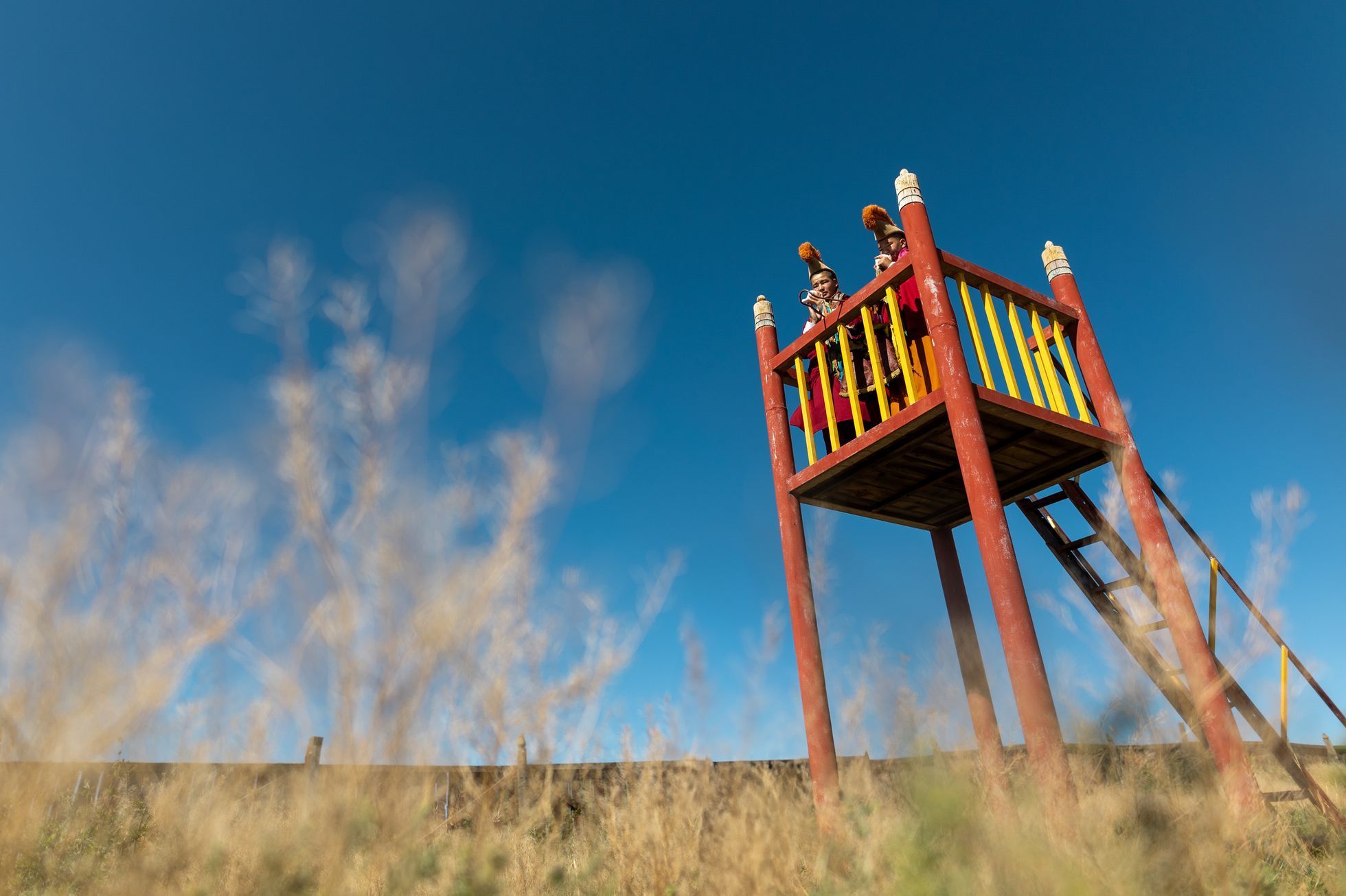 Žlutá žába Dan Přibáň