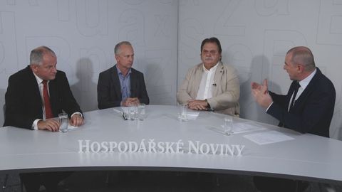 Umělá inteligence ve zdravotnictví lékařům radí s léčbou nebo třídí informace
