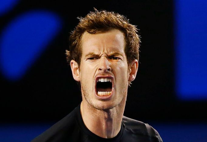 Australian Open 2015: Andy Murray při semifinále s Tomášem Berdychem