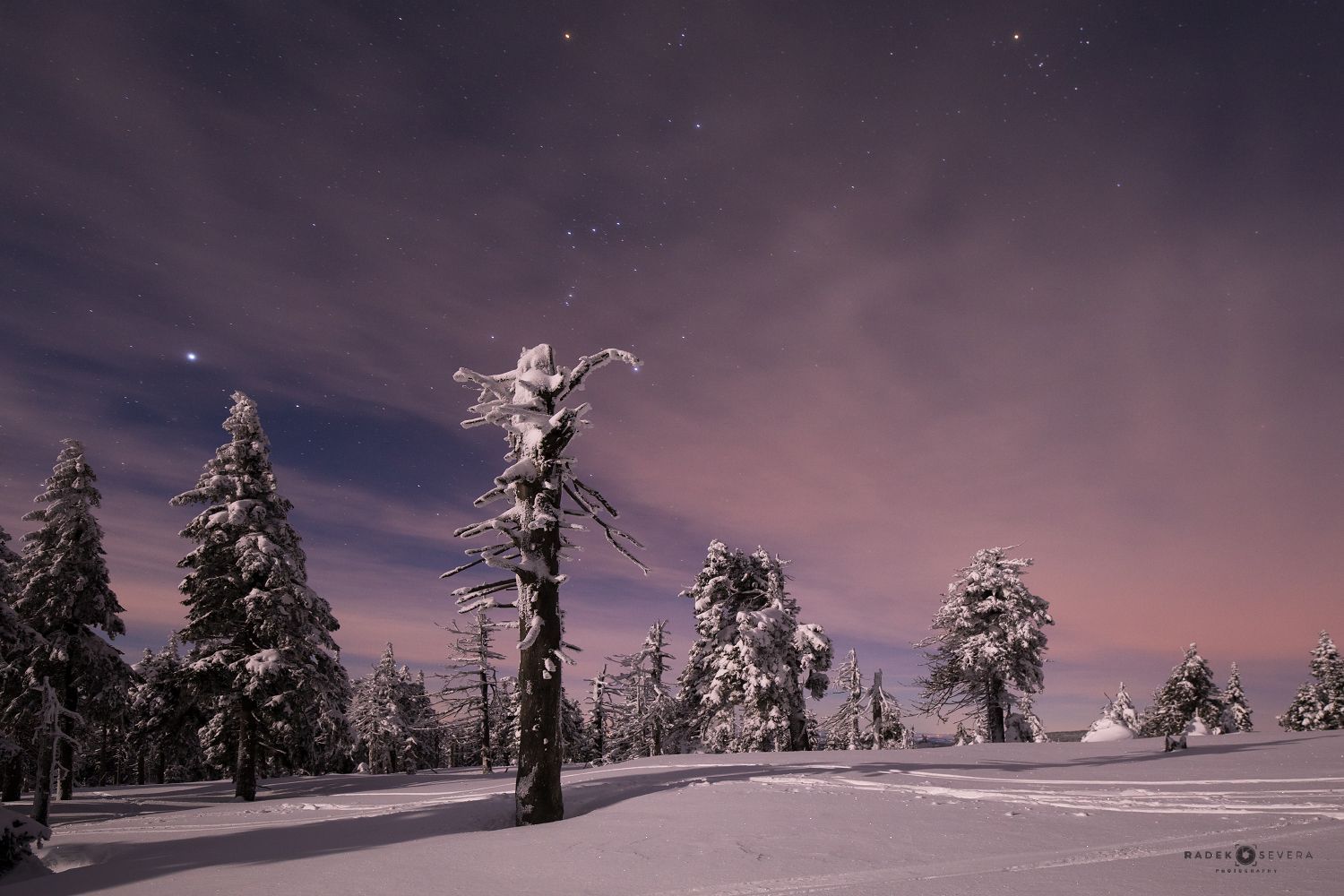 Radek Severa - zimní Jeseníky