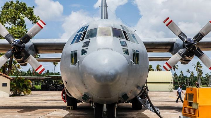 Na Filipínách se zřítilo vojenské letadlo s 85 lidmi, nejméně polovinu už zachránili; Zdroj foto: Miroslav Bobek, Zoo Praha