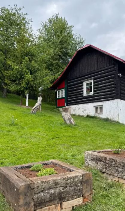 chalupa uprostřed lesa, les, chata, chalupa