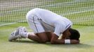 Novak Djokovič na Wimbledonu 2014