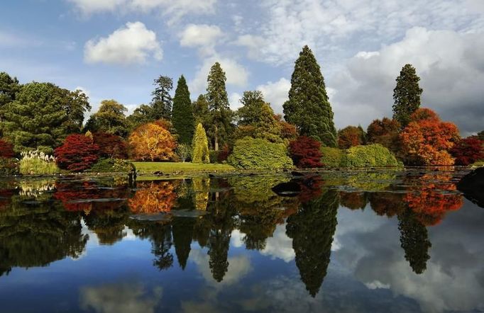 Barevné podzimní listí se odráží v jezírku v Sheffield Park Gardens poblíž Haywards Heath v jižní Anglii, 17. října 2012.