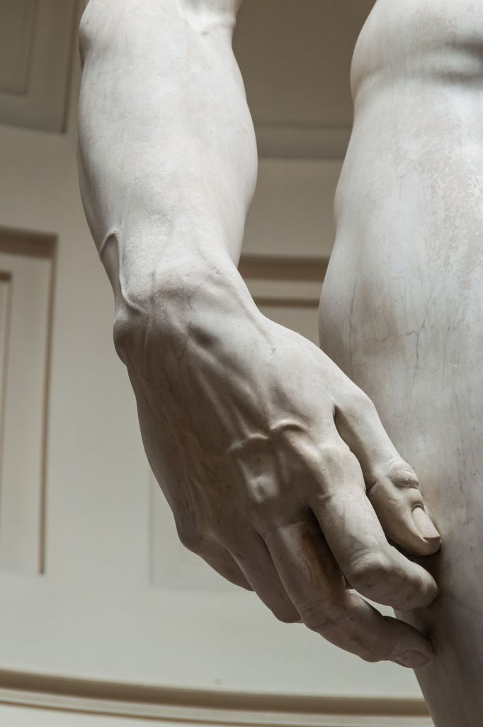 Michelangelův David.