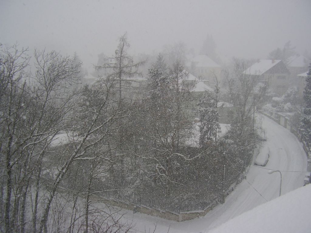 Sníh