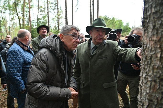 Premiér Andrej Babiš a ministryně financí Alena Schillerová si 15. května 2019 v lokalitě Bílovna nedaleko Bernartic prohlédli lesy zasažené kůrovcem.