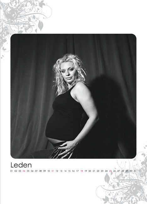 Kalendář The Beautiful Mind 2009 - Lucie Borhyová