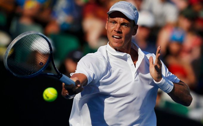 Australian Open: Tomáš Berdych