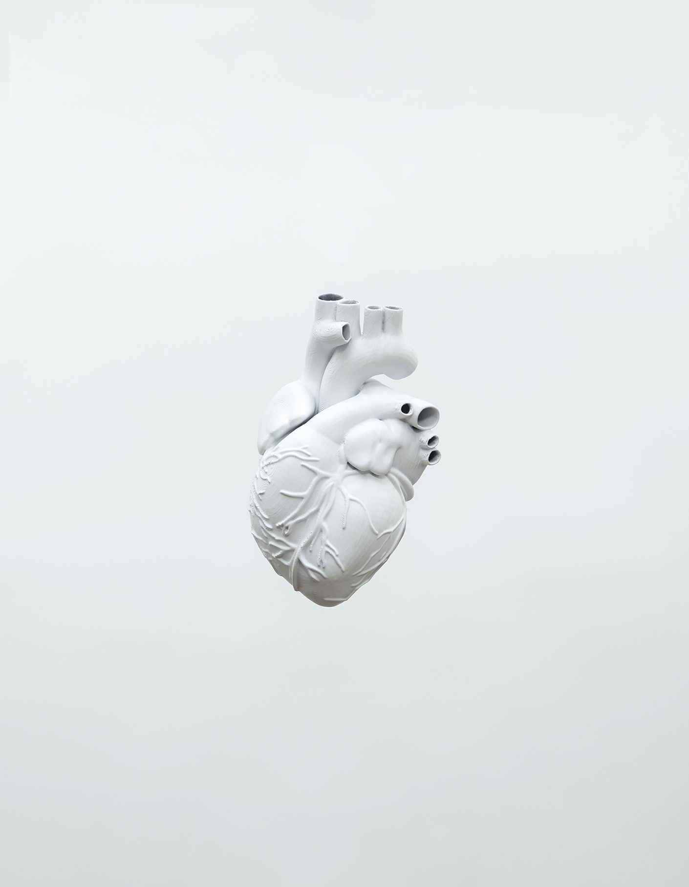 puls byti, jana kolarova