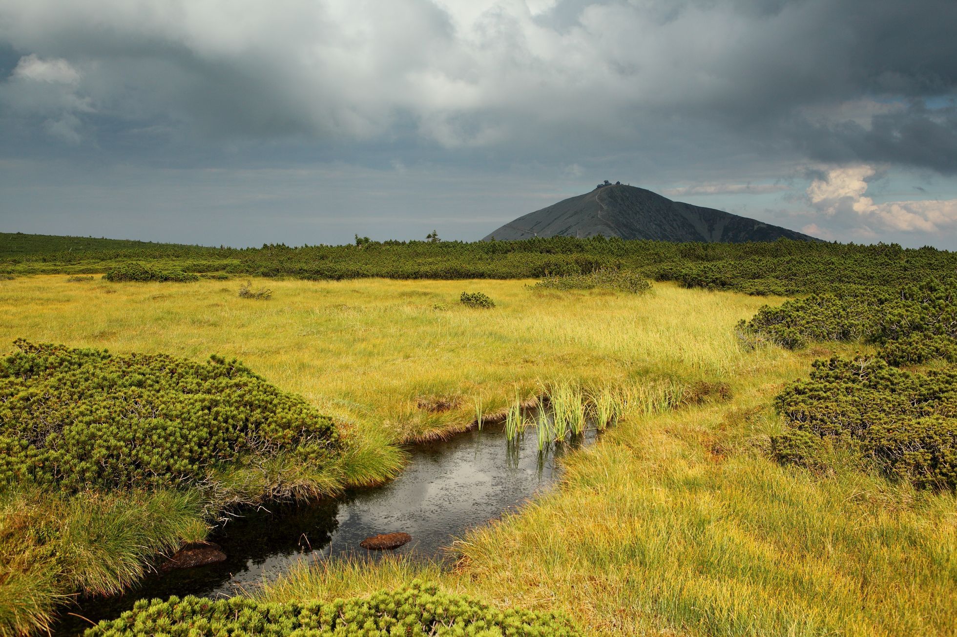 Krkonoše, KRNAP, národní park, hory, Česko, domácí, příroda