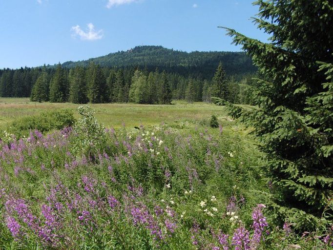 Šumava divoká, liduprázdná, nehostinná...?