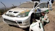 Britský pilot Matthew Wilson (vlevo) a jeho spolujezdec Michael Orr opravují svůj Ford Focus během druhé etapy Mexické rallye.