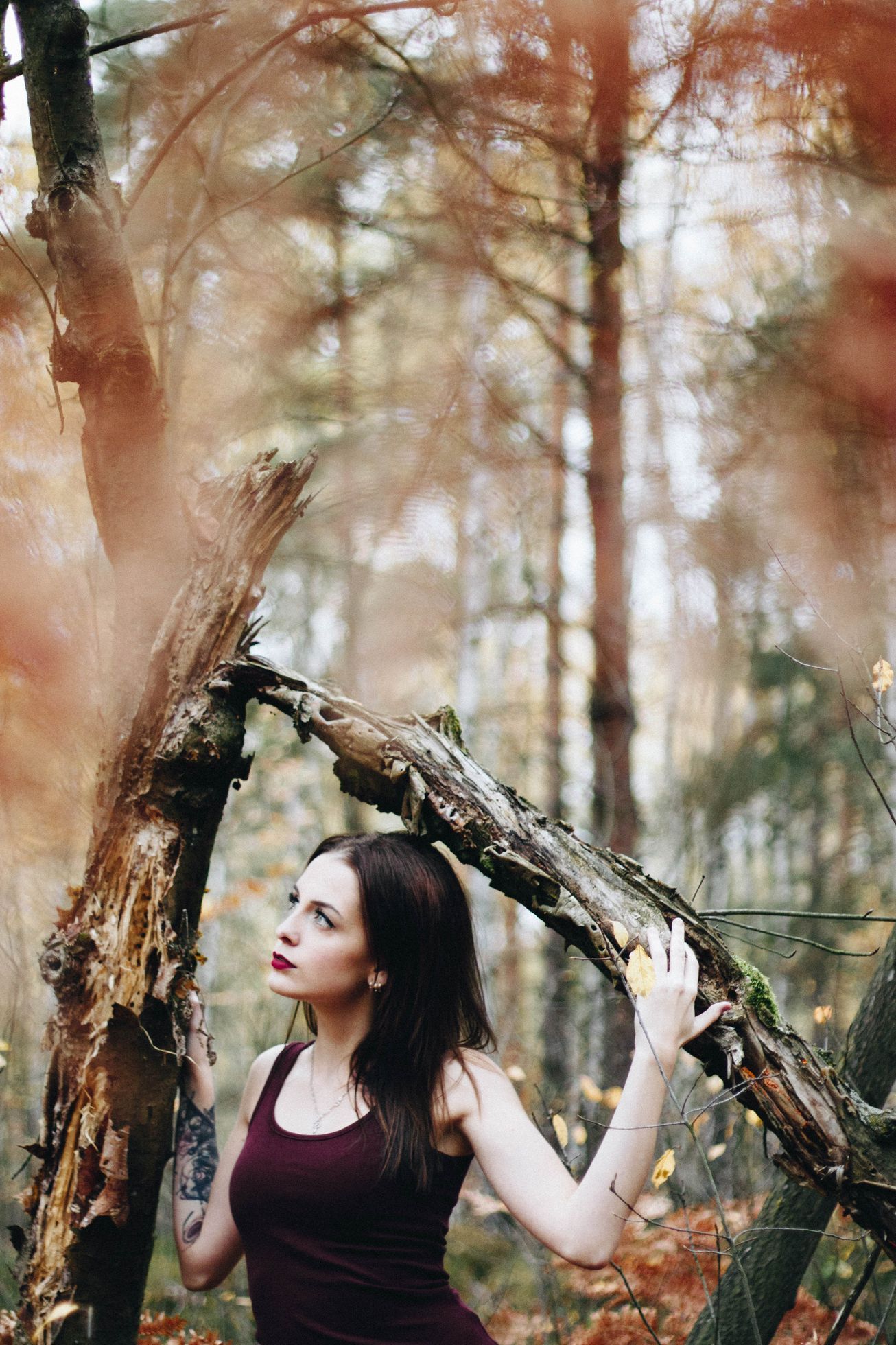 Kateřina Krausová tvorba