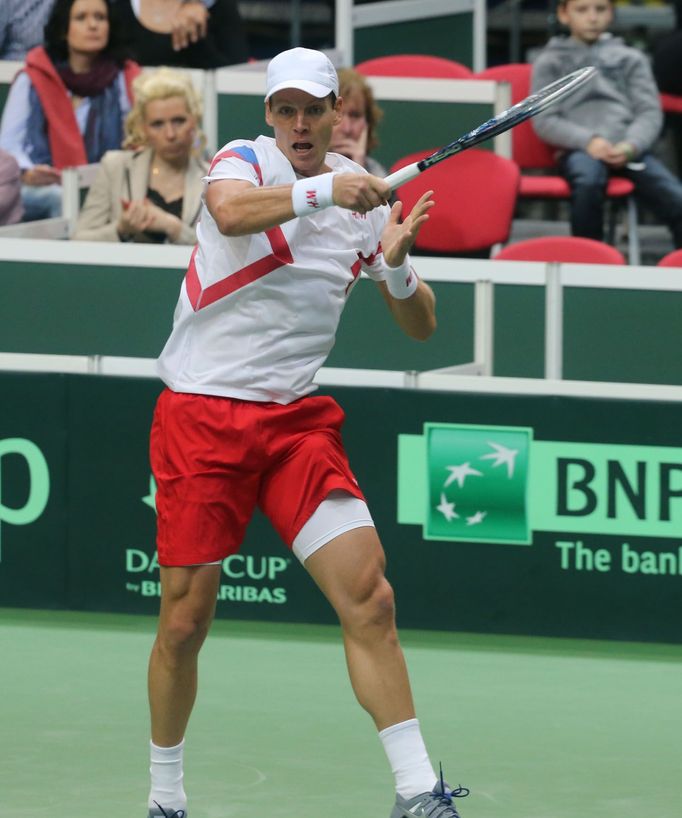 Davis Cup - Česko vs. Nizozemí (česká radost)