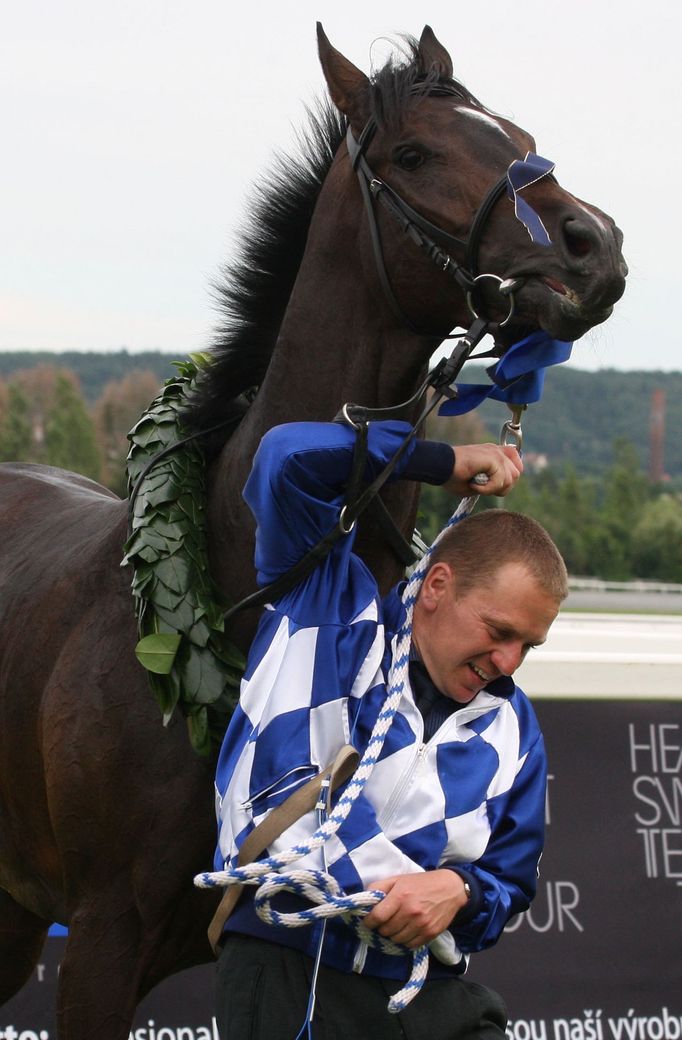 Kadyny na pražské Velké Chuchli 2012.