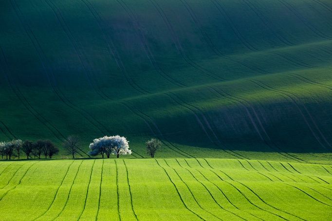 Moravské Slovácko. Ukázky z fotografické knihy Radka Severy a básnířky Ivety Gajda-Raponi