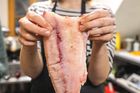 "Kapří maso je dostupné, výživné, na bílkoviny bohaté, a my přitom většinu našich kaprů vyvážíme do západní Evropy, do Německa, Rakouska nebo Francie," říká Čulík.