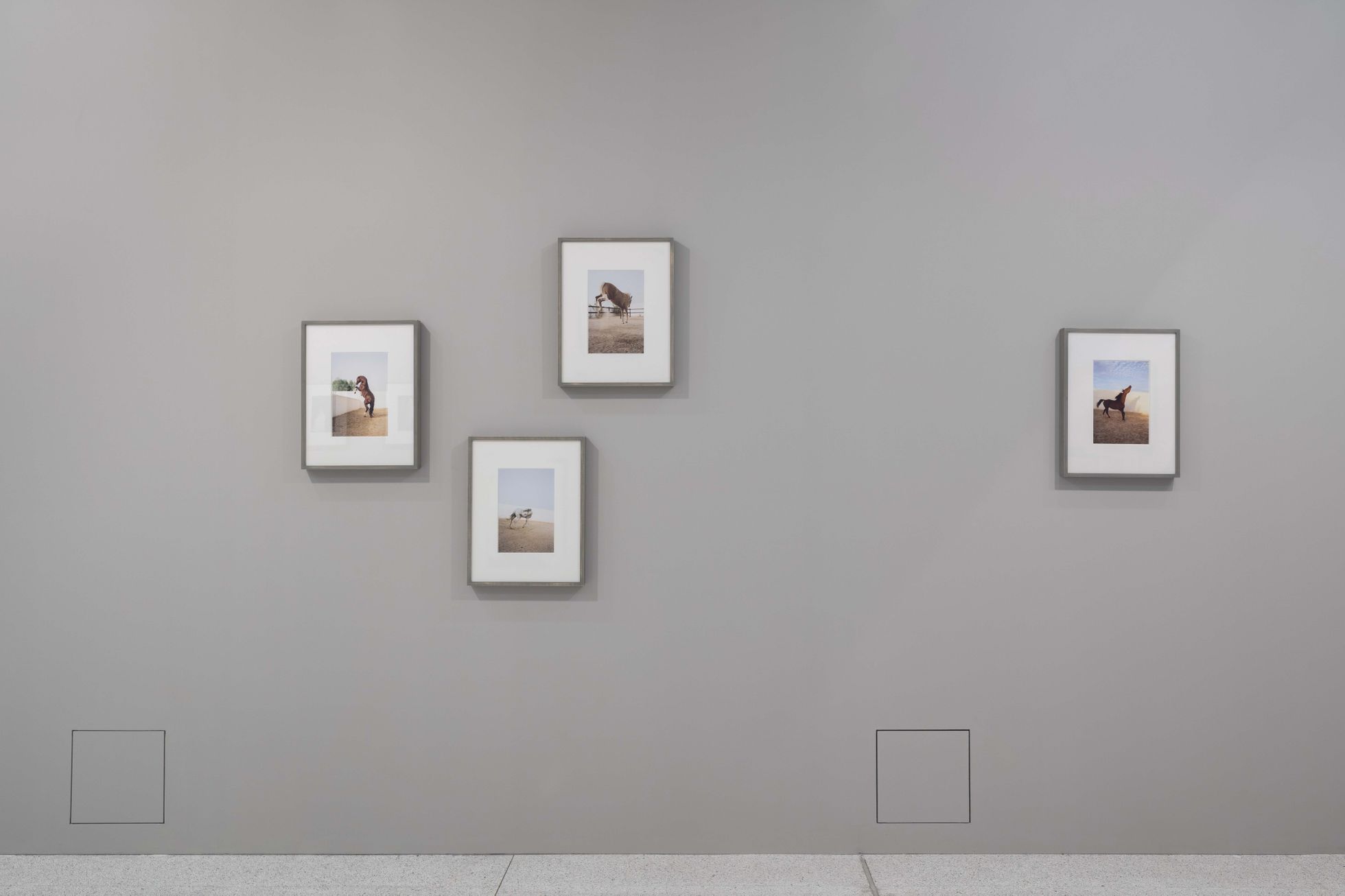 Jitka Hanzlová: Tišiny