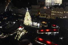 Na Staroměstském náměstí byl vztyčen vánoční strom
