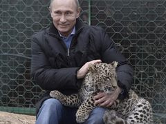 Vladimir Putin s levhartem.