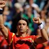 David Ferrer (Davis Cup) - radost