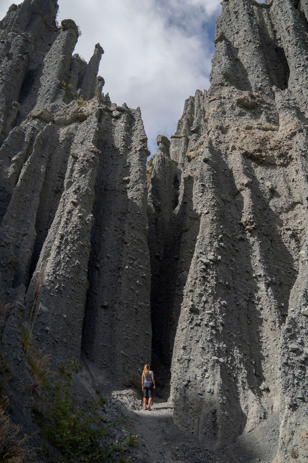 nový zéland cestování
